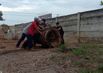 Kerja Bakti Santri di Pondok Pesantren Abu Hurairah